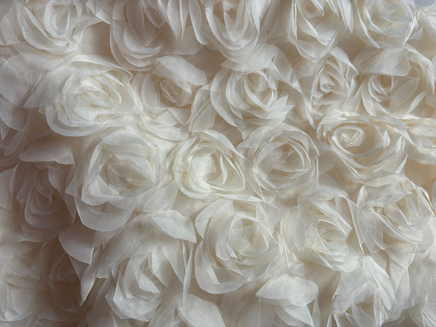ROSA Dress